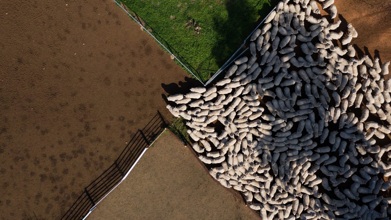 Agricultural land